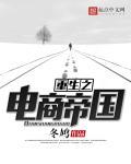 重生从电商到商业帝国免费阅读