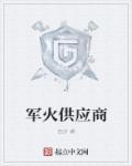 军火商品