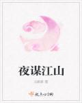 此夜江山讲了什么