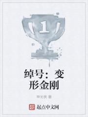 变形金刚是谁