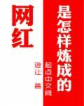 网红是怎样炼成的编剧