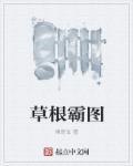 草根王简介