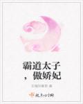 霸道太子15部