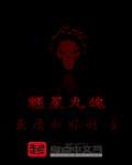 九星元魂