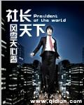 社长是干啥的