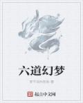 梦幻西游六道轮回是什么东西