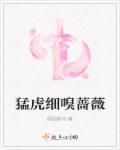 猛虎细嗅蔷薇原文