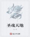 魂圣新书