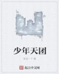 少年天团成员介绍