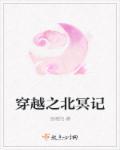 穿越男主北冥夜