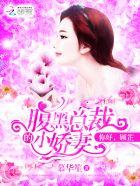 腹黑总裁顾夫人别跑
