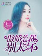 傲娇总裁别缠我