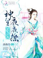 轻轻撩 南烟雨 著