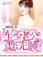 军少老公甜宠妻