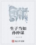 生子当如孙仲谋是曹操还是辛弃疾