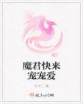 魔君宠夫