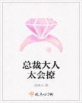 总裁大人太撩人免费的
