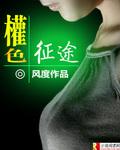 宦海征途秦浪姚刚强