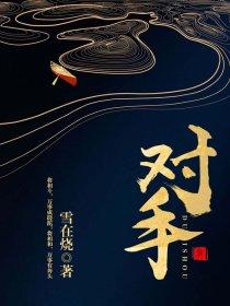 对手电视剧全集