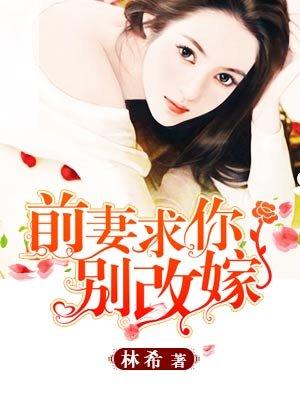 前妻求你别改嫁免费阅读全文