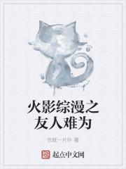 综火影同人文