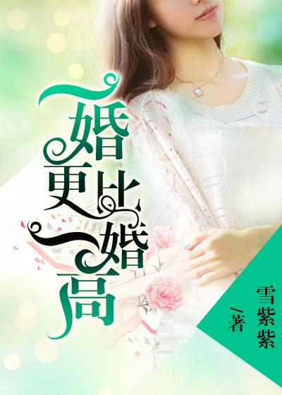 一婚还比一婚高txt