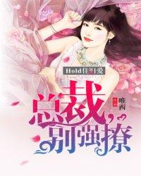 总裁别过来 作者红烧肉唐漫漫