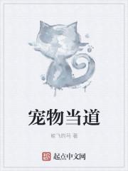 【宠物 】