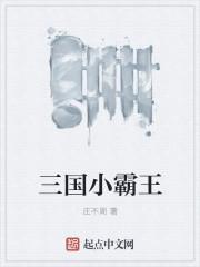 小霸王三国是谁