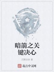 暗箭()()
