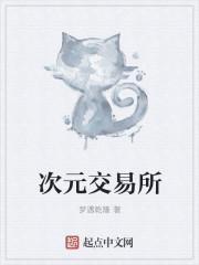 次元币是什么意思