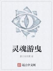 灵魂在游荡什么意思