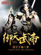 御天武帝苗晨免费全文阅读