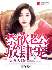 暖妻入怀全文免费阅读完结篇