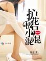 极品护花保镖百度百科