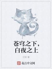 苍穹之下