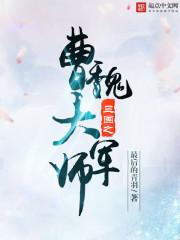 三国之曹魏能臣
