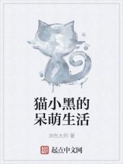 小黑猫咪图片大全