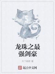 龙珠之最强体术