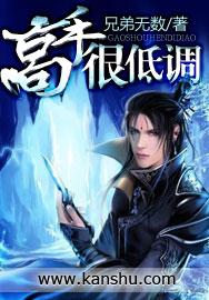 低调高手在线阅读