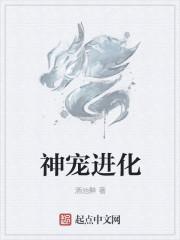 神宠进化系统秒速升级