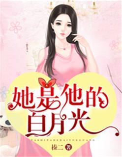 她是他的白月光什么意思