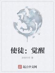 使徒到底是什么意思