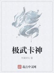 武极 矿卡