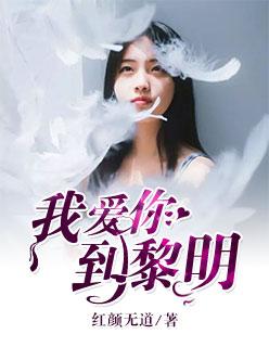 我爱你到黎明免费阅读全文