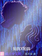 矩阵系统软件
