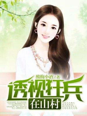 透视狂兵在山村 酸梅小酒