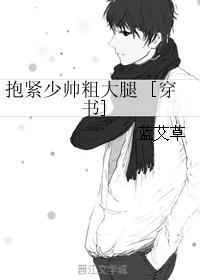 抱紧少帅粗大腿主要讲什么