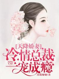 天降娇妻霸道宠第401章