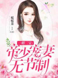 一婚二宝帝少宠妻成瘾